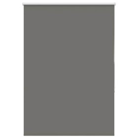 Estor Enrollable Opaco gris 100x175 cm Tela Ancho 95,7 cm de , Persianas y estores - Ref: Foro24-4011154, Precio: 21,48 €, De...