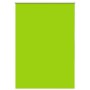 Estor Enrollable Opaco hojas verde 100x175 cm Tela Ancho 95,7cm de , Persianas y estores - Ref: Foro24-4011284, Precio: 21,20...