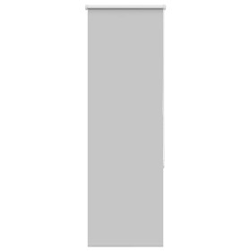 Estor Enrollable Opaco gris claro 40x150 cm Tela Ancho 35,7 cm de , Persianas y estores - Ref: Foro24-4011376, Precio: 13,66 ...