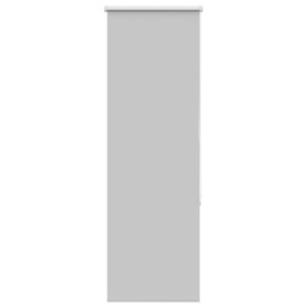 Estor Enrollable Opaco gris claro 55x175 cm Tela Ancho 50,7 cm de , Persianas y estores - Ref: Foro24-4011405, Precio: 19,31 ...
