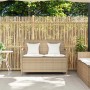 Banco de jardín con almacenaje y cojín beige ratán sintético de , Bancos de jardín - Ref: Foro24-4104215, Precio: 221,62 €, D...