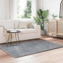 Alfombra peluda de pelo largo NAVARRA gris plateado 120x170 cm de , Alfombras - Ref: Foro24-4102828, Precio: 32,50 €, Descuen...