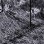Alfombra de pelo largo NAVARRA gris oscuro 200x200 cm poliéster de , Alfombras - Ref: Foro24-4102880, Precio: 54,69 €, Descue...
