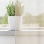 Cortinas de gasa con ojales 2 uds crema 140x260 cm de , Cortinas y visillos - Ref: Foro24-4102075, Precio: 13,49 €, Descuento: %