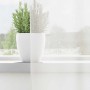 Cortinas de gasa con bolsillos para varillas 2 uds. blanco de , Cortinas y visillos - Ref: Foro24-4102241, Precio: 13,98 €, D...