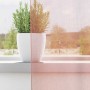 Cortinas de gasa con trabillas 2 uds rosa 140x225 cm de , Cortinas y visillos - Ref: Foro24-4102288, Precio: 17,27 €, Descuen...
