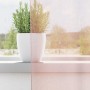 Cortinas de gasa con trabillas 2 uds rosa claro 140x140 cm de , Cortinas y visillos - Ref: Foro24-4102276, Precio: 14,47 €, D...