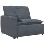 Sofá modular con cojines terciopelo gris oscuro de , Sofás - Ref: Foro24-3321329, Precio: 957,09 €, Descuento: %
