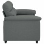 Sofá de 2 plazas de tela gris oscuro 120 cm de , Sofás - Ref: Foro24-4105298, Precio: 219,80 €, Descuento: %