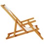 Silla de playa plegable con reposabrazos gris claro de , Sillas de jardín - Ref: Foro24-4108068, Precio: 87,23 €, Descuento: %