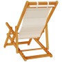 Silla de playa plegable con reposabrazos gris claro de , Sillas de jardín - Ref: Foro24-4108068, Precio: 87,23 €, Descuento: %