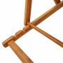 Silla de playa plegable con reposabrazos gris claro de , Sillas de jardín - Ref: Foro24-4108068, Precio: 87,23 €, Descuento: %