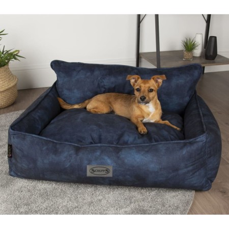 Scruffs & Tramps Cama para perros Kensington azul marino M 60x50 cm de , Camas para perros - Ref: Foro24-437880, Precio: 52,1...