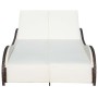Tumbona doble con cojín de ratán sintético marrón de , Tumbonas - Ref: Foro24-41976, Precio: 403,43 €, Descuento: %