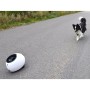 FLAMINGO Lanzador de pelotas interactivo con pelotas de tenis Elton 33x24x29 cm de , Juguetes para perros - Ref: Foro24-43965...
