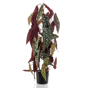 Emerald Begonia maculata artificial en maceta 75 cm de , Flora artificial - Ref: Foro24-444649, Precio: 41,22 €, Descuento: %