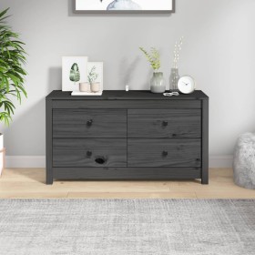 Armario auxiliar de madera maciza de pino gris 100x40x54 cm de , Aparadores - Ref: Foro24-821776, Precio: 141,36 €, Descuento: %