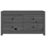Armario auxiliar de madera maciza de pino gris 100x40x54 cm de , Aparadores - Ref: Foro24-821776, Precio: 141,36 €, Descuento: %