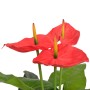 Planta de anturio artificial con maceta 90 cm roja y amarilla de , Flora artificial - Ref: Foro24-244447, Precio: 46,19 €, De...