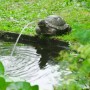 Ubbink Fuente de jardín con chorro y en forma de tortuga de , Fuentes y cascadas - Ref: Foro24-442055, Precio: 46,45 €, Descu...