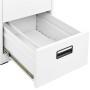 Armario archivador de acero blanco 46x62x72,5 cm de , Armarios archivadores - Ref: Foro24-336270, Precio: 139,76 €, Descuento: %