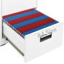 Armario archivador de acero blanco 46x62x72,5 cm de , Armarios archivadores - Ref: Foro24-336270, Precio: 139,76 €, Descuento: %