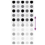 Estor enrollable para ducha 140x240 cm tela ancho 136 cm de , Persianas y estores - Ref: Foro24-4014840, Precio: 24,36 €, Des...