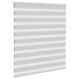 Estor cebra gris claro 120x100cm tejido ancho 115,9cm poliéster de , Persianas y estores - Ref: Foro24-4014421, Precio: 22,76...