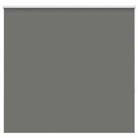 Estor Enrollable Opaco gris 165x175 cm Tela Ancho 161,6 cm de , Persianas y estores - Ref: Foro24-4011167, Precio: 40,17 €, D...
