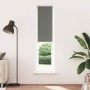 Estor Enrollable Opaco gris 55x210 cm Tela Ancho 50,7 cm de , Persianas y estores - Ref: Foro24-4011171, Precio: 24,81 €, Des...