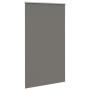 Estor Enrollable Opaco gris 140x230 cm Tela Ancho 136,6 cm de , Persianas y estores - Ref: Foro24-4011214, Precio: 29,42 €, D...