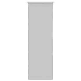 Estor Enrollable Opaco gris claro 55x150 cm Tela Ancho 50,7 cm de , Persianas y estores - Ref: Foro24-4011379, Precio: 15,23 ...