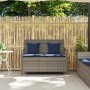 Banco de jardín con almacenaje y cojín gris ratán sintético de , Bancos de jardín - Ref: Foro24-4104218, Precio: 254,35 €, De...