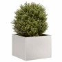 Jardinera 40x40x30 cm acero inoxidable de , Maceteros y jardineras - Ref: Foro24-860798, Precio: 54,41 €, Descuento: %