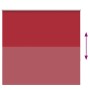 Estor Enrollable Opaco Rojo 165x150 cm Tela Ancho 161,6 cm de , Persianas y estores - Ref: Foro24-4011791, Precio: 29,62 €, D...