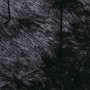 Alfombra peluda de pelo largo NAVARRA negra 240x240cm poliéster de , Alfombras - Ref: Foro24-4102886, Precio: 69,30 €, Descue...