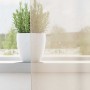 Cortinas de gasa con ojales 2 uds crema 140x225 cm de , Cortinas y visillos - Ref: Foro24-4102073, Precio: 15,02 €, Descuento: %