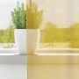 Cortinas de gasa con ojales 2 uds amarillo de , Cortinas y visillos - Ref: Foro24-4102134, Precio: 15,66 €, Descuento: %