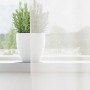 Cortinas de gasa con bolsillos para varillas 2 uds. blanco de , Cortinas y visillos - Ref: Foro24-4102245, Precio: 13,24 €, D...