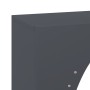 Leñero antracita 50x23x100 cm Acero laminado en frío de , Bolsas y soportes de leña - Ref: Foro24-864183, Precio: 92,00 €, De...