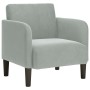 Sillón con reposabrazos Terciopelo Gris Claro 54 cm de , Sillones - Ref: Foro24-4100578, Precio: 105,20 €, Descuento: %