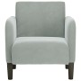 Sillón con reposabrazos Terciopelo Gris Claro 54 cm de , Sillones - Ref: Foro24-4100578, Precio: 105,20 €, Descuento: %
