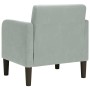 Sillón con reposabrazos Terciopelo Gris Claro 54 cm de , Sillones - Ref: Foro24-4100578, Precio: 105,20 €, Descuento: %