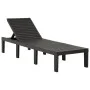 Anthrazitgraue Sonnenliege aus Kunststoff von vidaXL, Liegen - Ref: Foro24-315827, Preis: 141,35 €, Rabatt: %