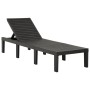 Tumbona de plástico gris antracita de vidaXL, Tumbonas - Ref: Foro24-315827, Precio: 146,30 €, Descuento: %
