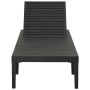Tumbona de plástico gris antracita de vidaXL, Tumbonas - Ref: Foro24-315827, Precio: 146,30 €, Descuento: %