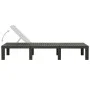 Anthrazitgraue Sonnenliege aus Kunststoff von vidaXL, Liegen - Ref: Foro24-315827, Preis: 141,35 €, Rabatt: %