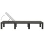 Tumbona de plástico gris antracita de vidaXL, Tumbonas - Ref: Foro24-315827, Precio: 146,30 €, Descuento: %