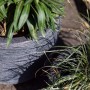 Capi Macetero bajo elegante Waste Rib gris 34x46 cm de , Maceteros y jardineras - Ref: Foro24-442101, Precio: 68,96 €, Descue...