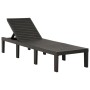 Tumbona con cojín plástico gris antracita de vidaXL, Tumbonas - Ref: Foro24-315829, Precio: 186,62 €, Descuento: %